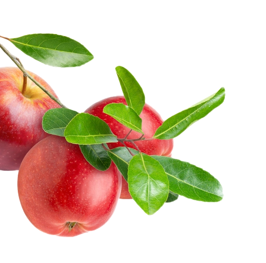 TDB_ARTICLE_525X520_DROITE_POMMES